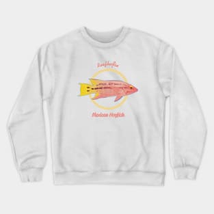 Mexican Hogfish Crewneck Sweatshirt